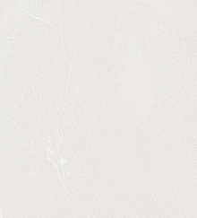 Флизелиновые обои Bernardo Bartalucci Gaga  84284-1