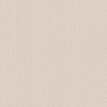 Однотонные бежевые обои (фон) Alessandro Allori Bruni 1002-17 RBN Однотонные бежевые обои (фон) Alessandro Allori Bruni 1002-17 RBN