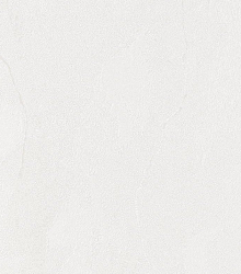 Флизелиновые обои Bernardo Bartalucci Gaga  84284-17