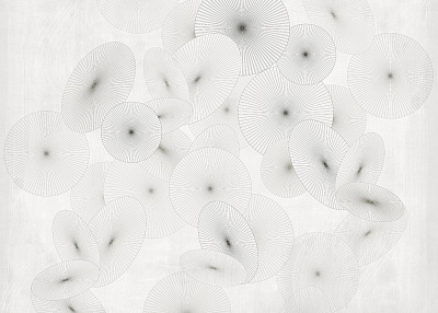Фотообои WAGASA 1, CREATIVE, Factura Фотообои WAGASA 1, CREATIVE, Factura