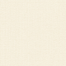 Однотонные бежевые обои (фон) Alessandro Allori Bruni 1002-2 RBN Однотонные бежевые обои (фон) Alessandro Allori Bruni 1002-2 RBN