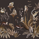 Madagascar 14